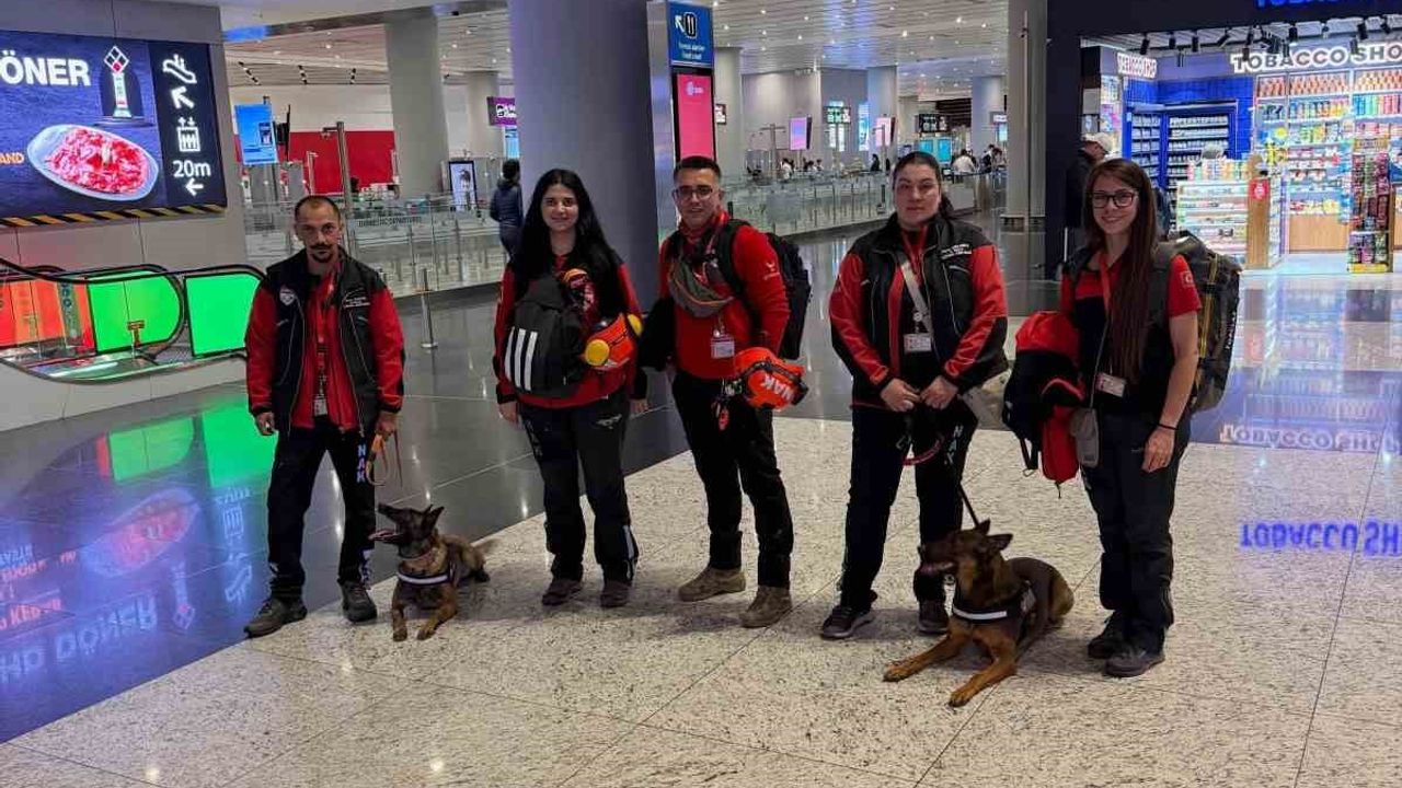 Muğla NAK Arama Kurtarma Köpekleri Tayga ve Foxy, Macaristan’daki Uluslararası Eğitime Katıldı