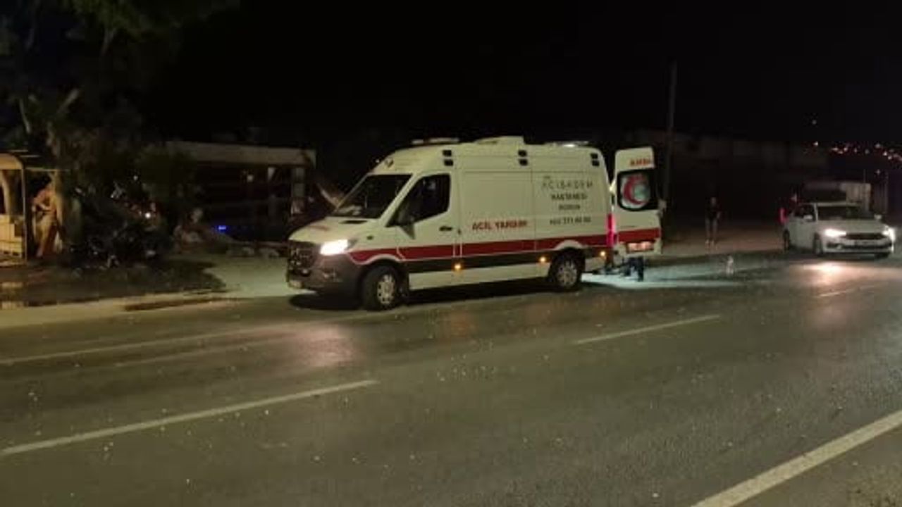 Muğla'nın Bodrum ilçesinde otomobil düğün salonu tabelasını yıkarak ağaca çarptı: 2 yaralı