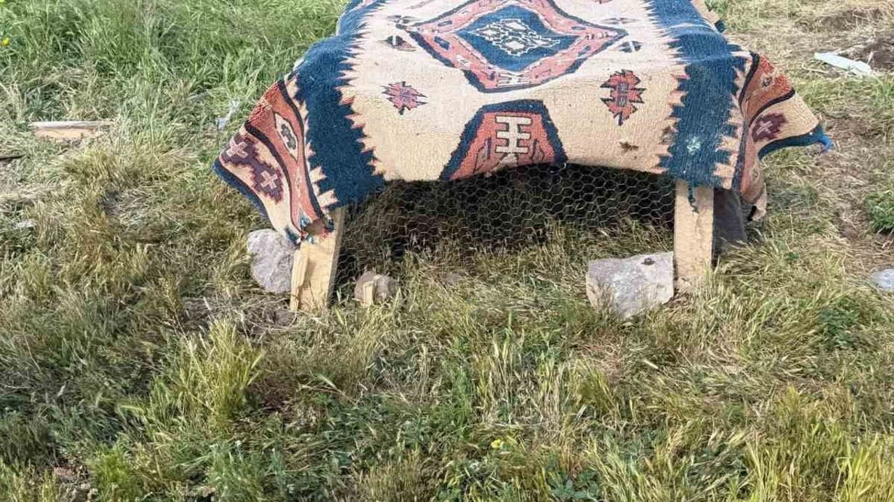Muş'ta kafeste keklik besleyen çobana 67 bin TL ceza