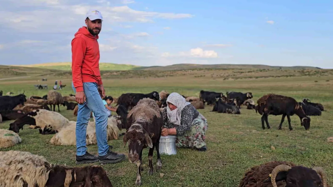 Muş’ta yayla mesaisi başladı: lezzetli sütün sırrı dağlarda saklı