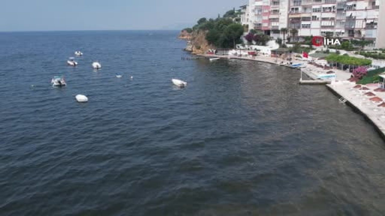 Müsilaj Gemlik Körfezi'nde yeniden görüldü: Kumla ve Karacaali sahilleri etkilendi