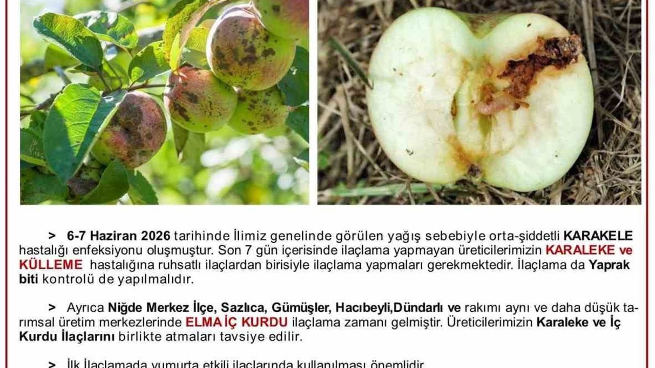 Niğde'de elma üreticilerine karaleke ve iç kurdu uyarısı