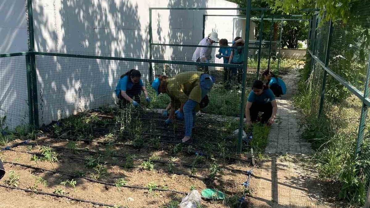 Nilüfer Belediyesi, Rüveyde Dörtçelik İlkokulu'nda öğrencilerle fide dikimi yaptı