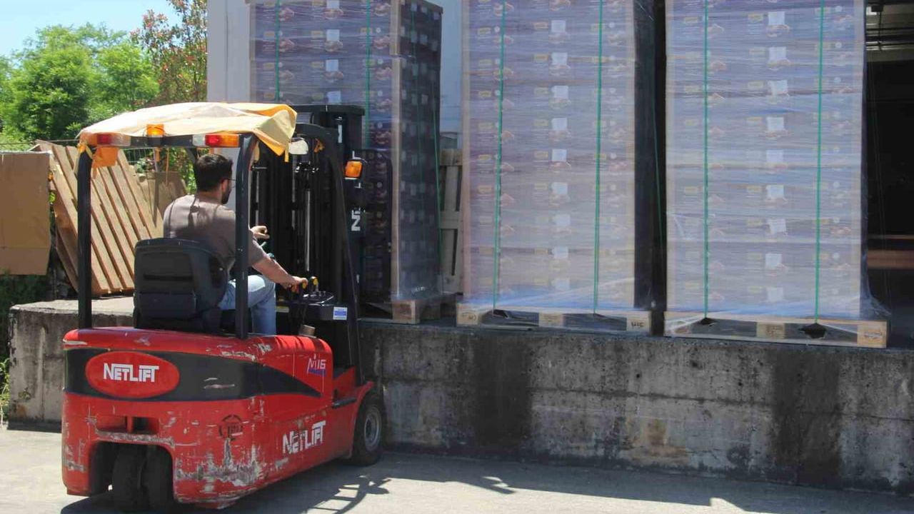 Ordu'dan İngiltere'ye bal ihracatı devam ediyor