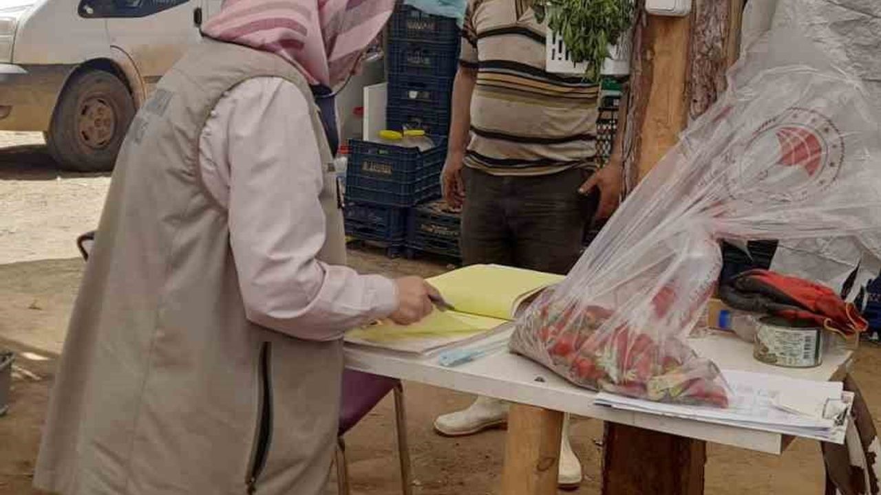Orhaneli'de 2026 Hasat Öncesi Pestisit Kalıntı Denetimleri: Ziraat Mühendisleri Numune Aldı