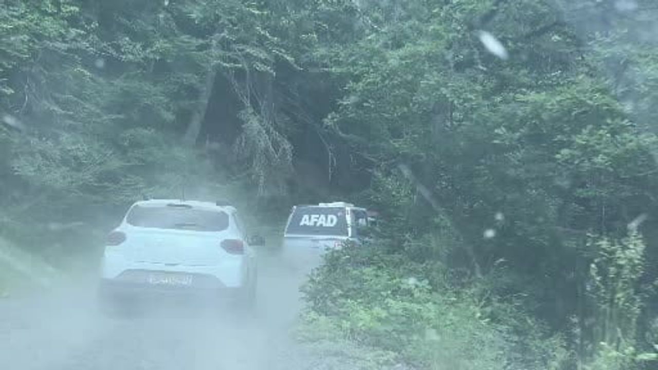 Orman yolunda şarampole devrilen kamyonun sürücüsü yaralandı