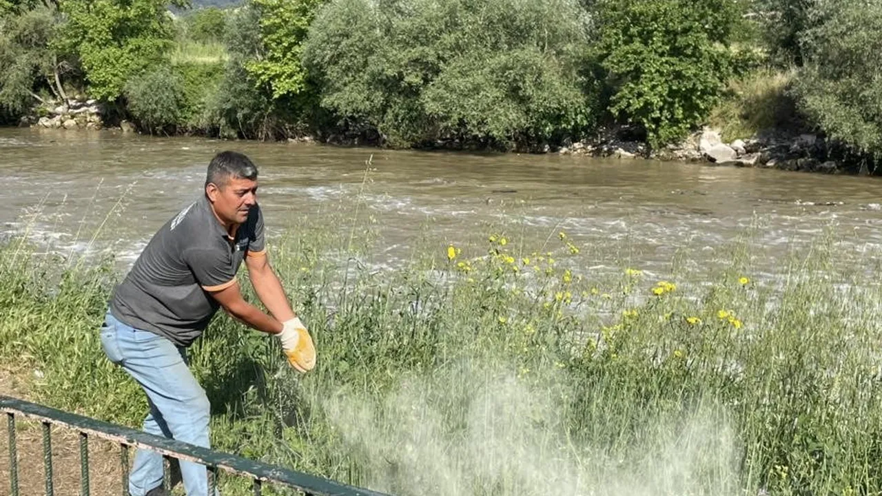 Osmaneli Sakarya Nehri Mesire Alanı'nda haşere ve yılanlara karşı kükürt uygulaması