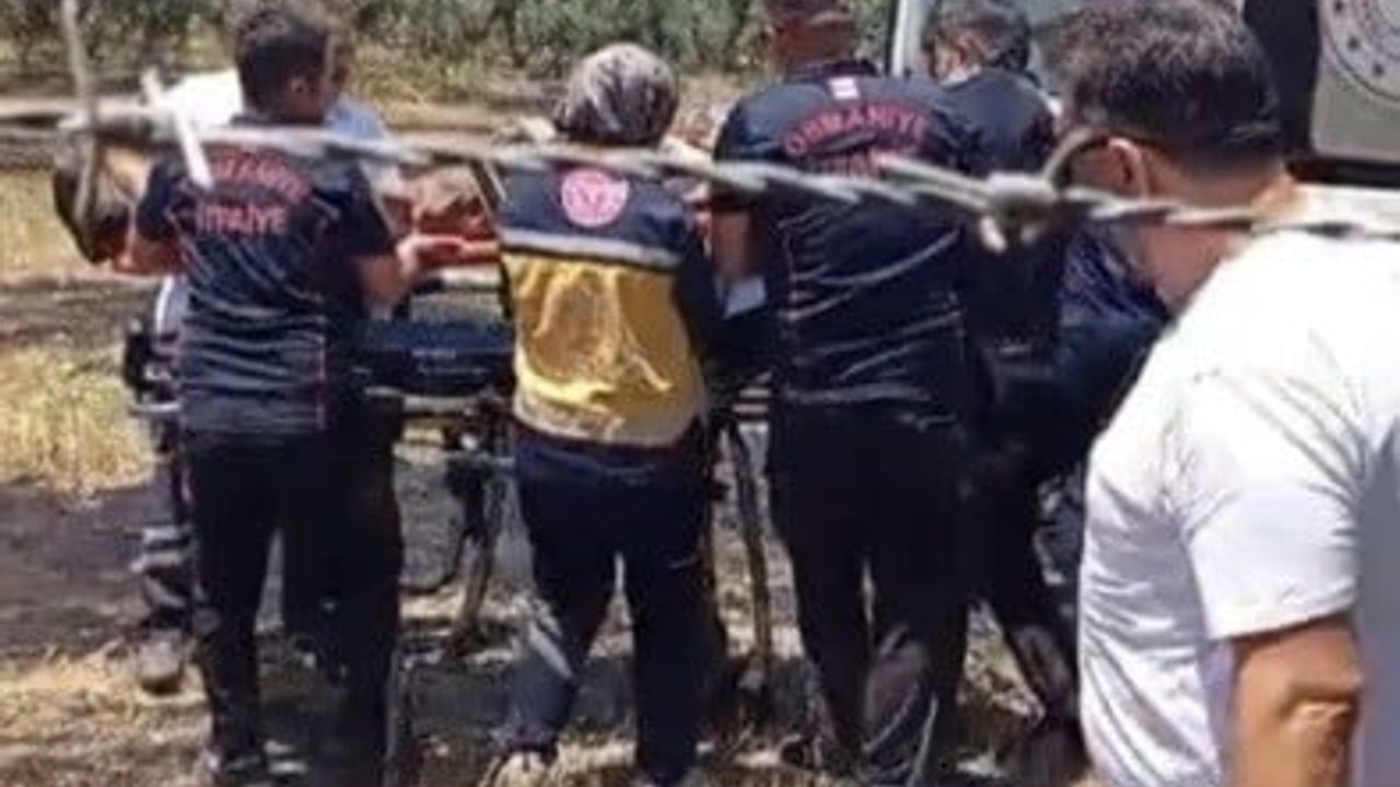 Osmaniye’de anız yangını meyve bahçelerine sıçradı: 1 kişi hastanelik oldu