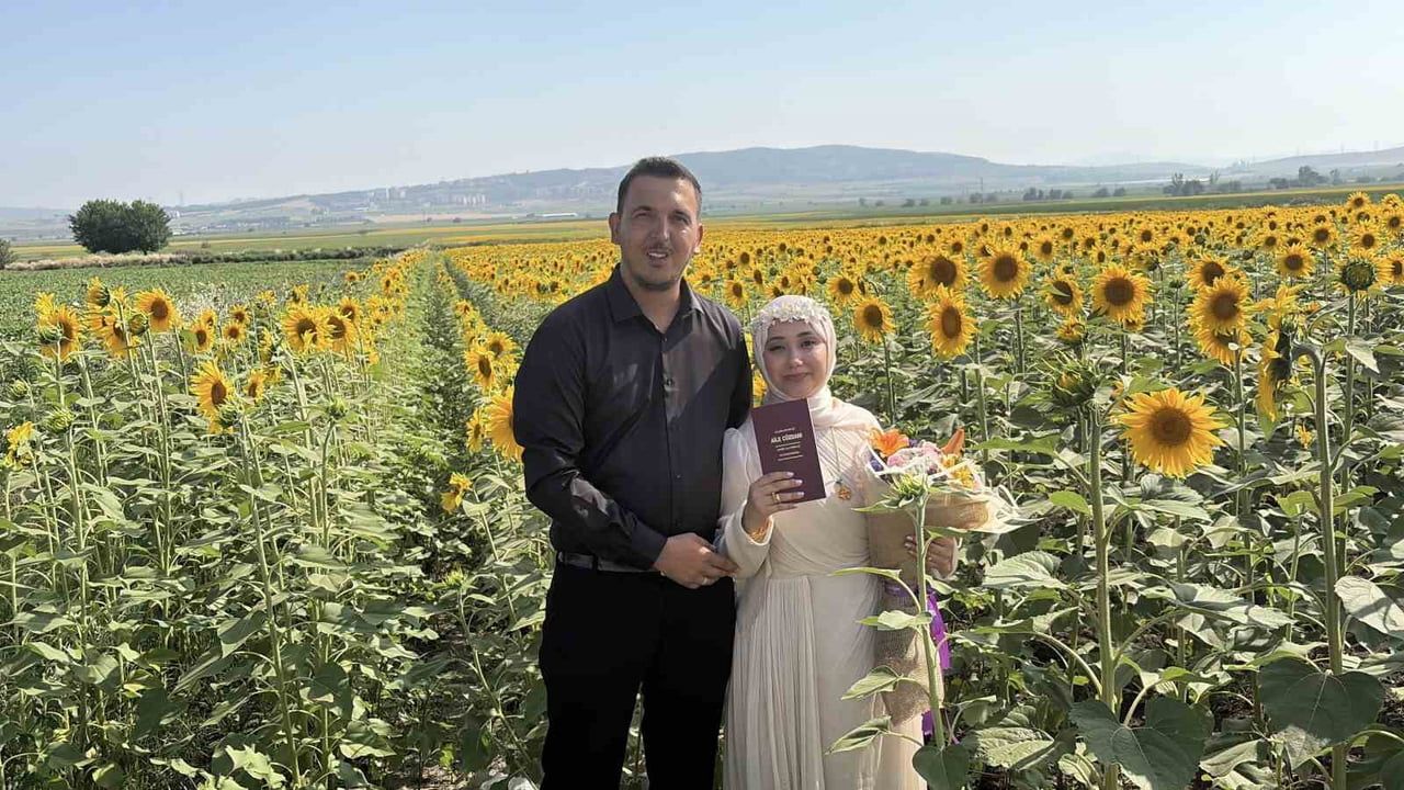 Osmaniye’de ayçiçeği tarlaları yeni evli çiftlerin tercihi oldu