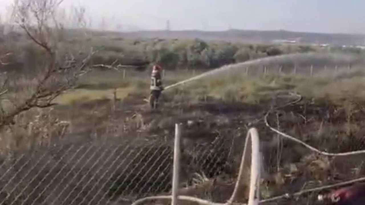 Osmaniye’de tankerin lastiklerinden çıkan yangın zeytin bahçesine sıçradı