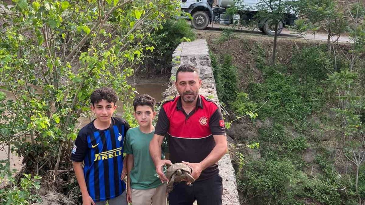 Osmaniye Düziçi’nde Çamura Saplanan Kaplumbağa İtfaiye Ekiplerince Kurtarıldı