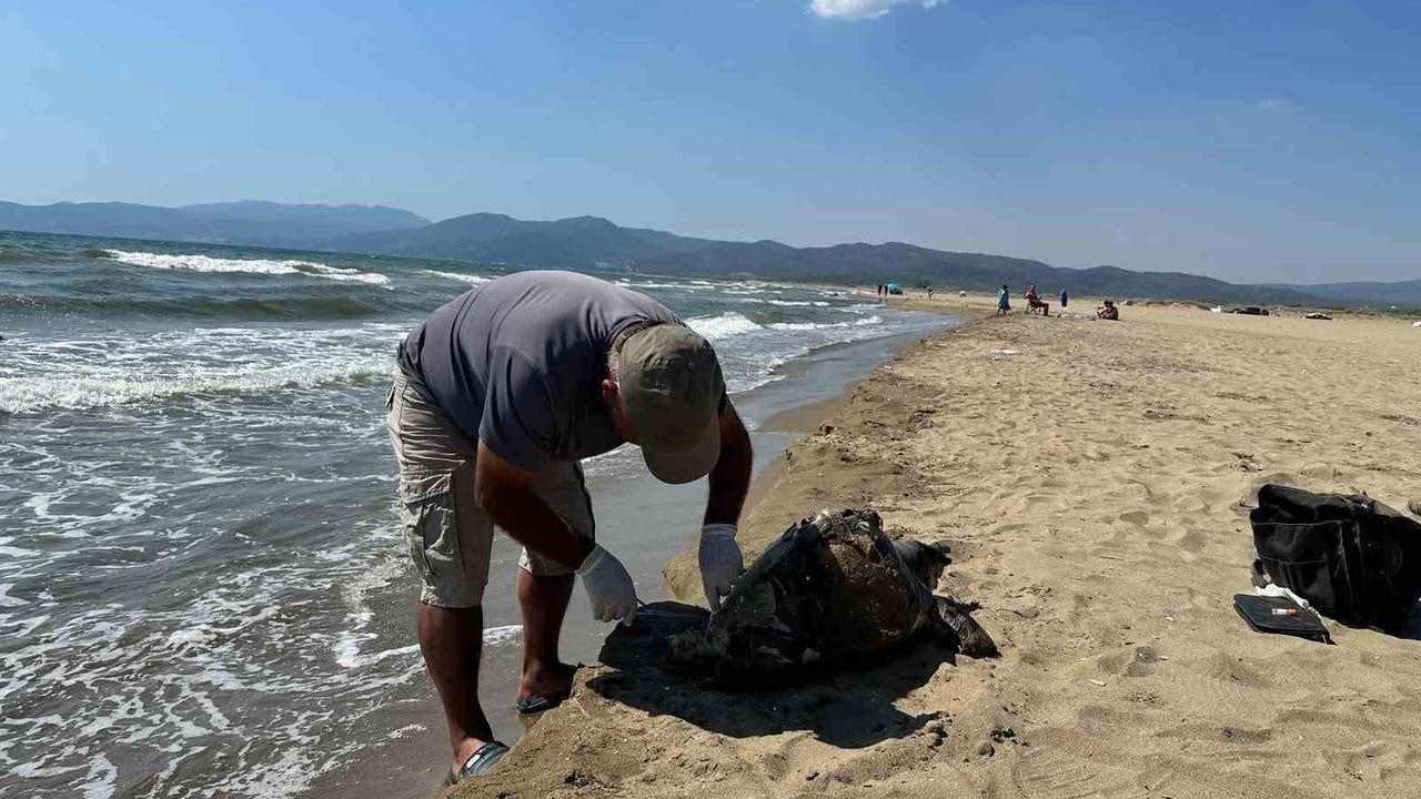 Pamucak sahilinde ayağına taş bağlanmış ikinci deniz kaplumbağası bulundu