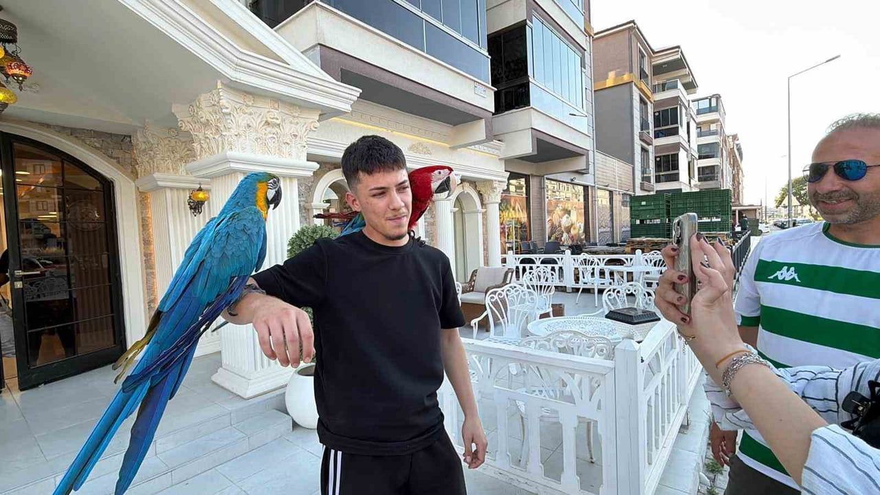 Papağanlarıyla gezerek ilgi odağı olan Mustafakemalpaşalı