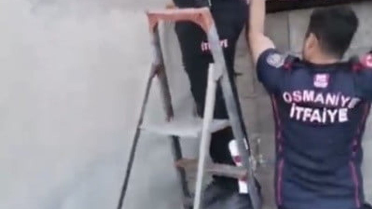 Patisi pencere demirine sıkışan kedi itfaiye tarafından kurtarıldı