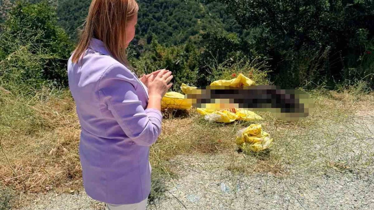 Pazaryeri belediye başkanı Tekin yol kenarına bırakılan hayvan leşine tepki gösterdi