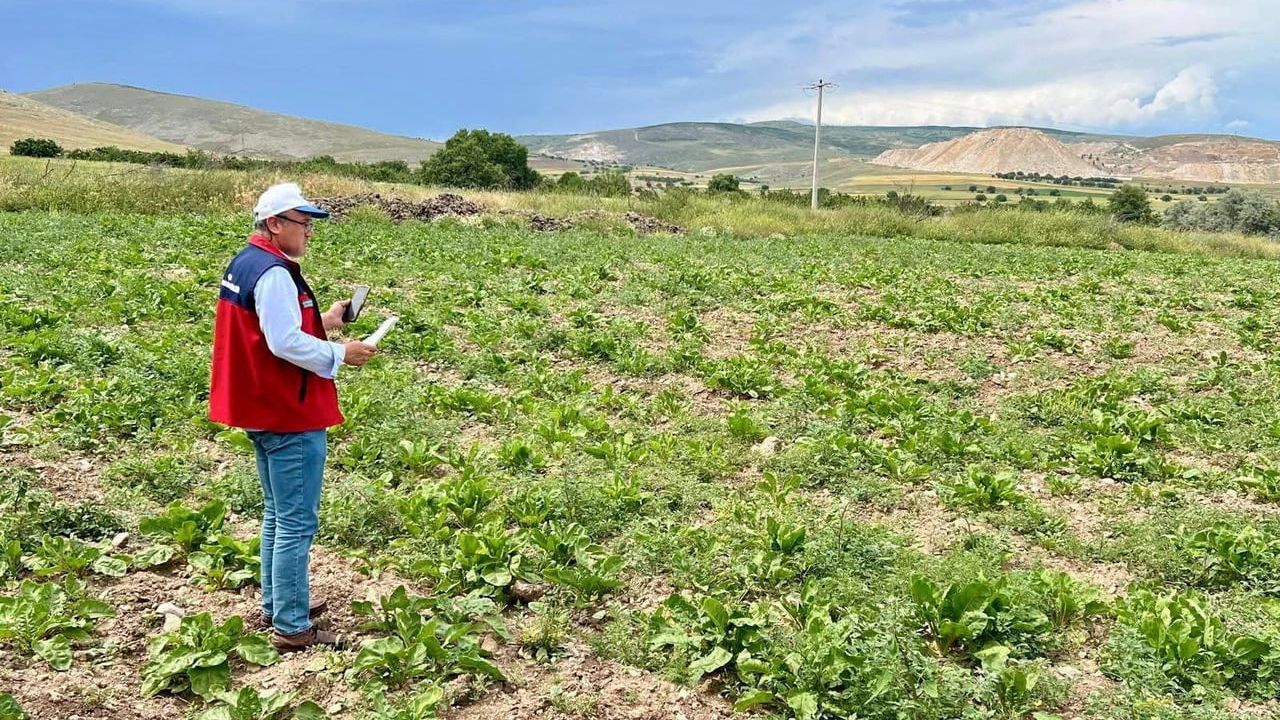 Planlı tarımsal üretim için saha çalışmaları sürüyor