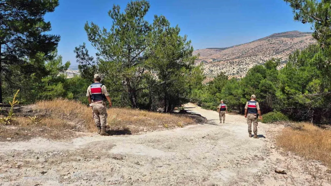 Polateli'de orman yangınlarına karşı jandarma denetimi