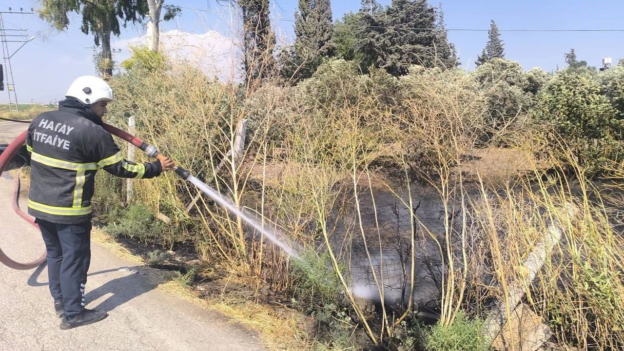 Reyhanlı'da zeytinlikte çıkan yangın itfaiye ekiplerinin müdahalesiyle söndürüldü
