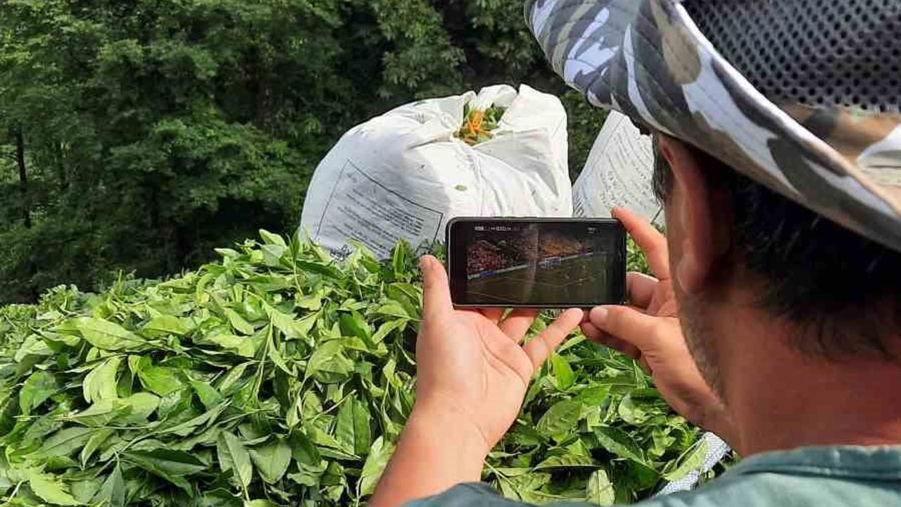 Rize’de çay bahçesinde milli maç heyecanı