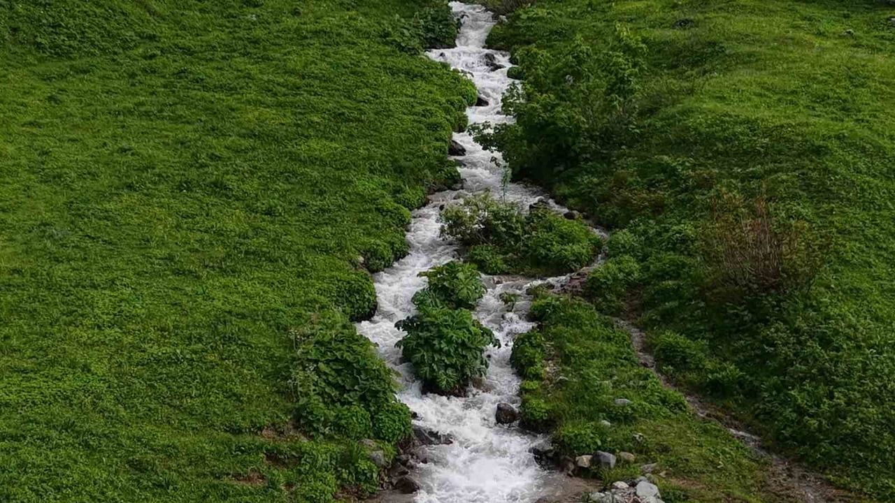 Rize yaylaları karların erimesiyle yeniden yeşile büründü