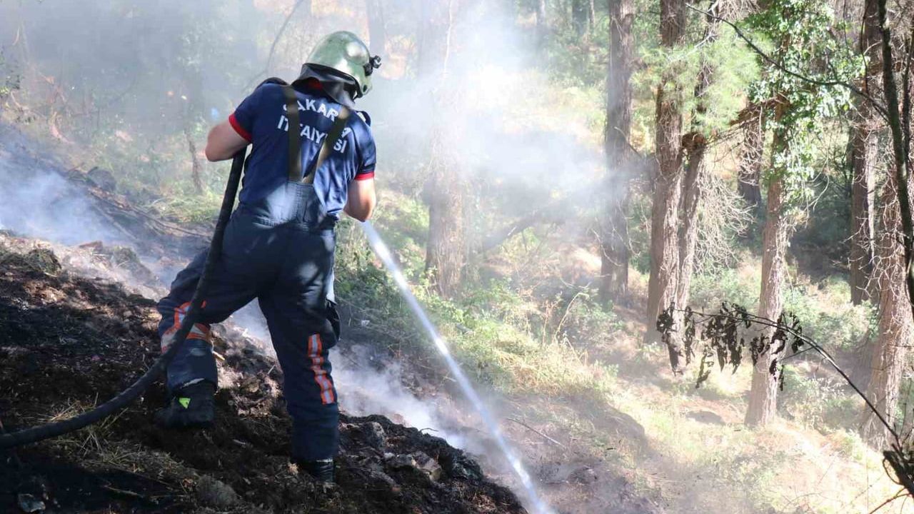 Sakarya'da ağaçlık alanda yangın itfaiye ekiplerince söndürüldü