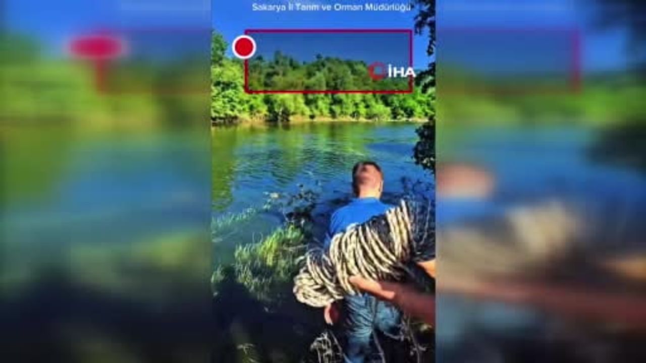 Sakarya'da nehir ve göletlerdeki kaçak ağlar tek tek toplanıyor