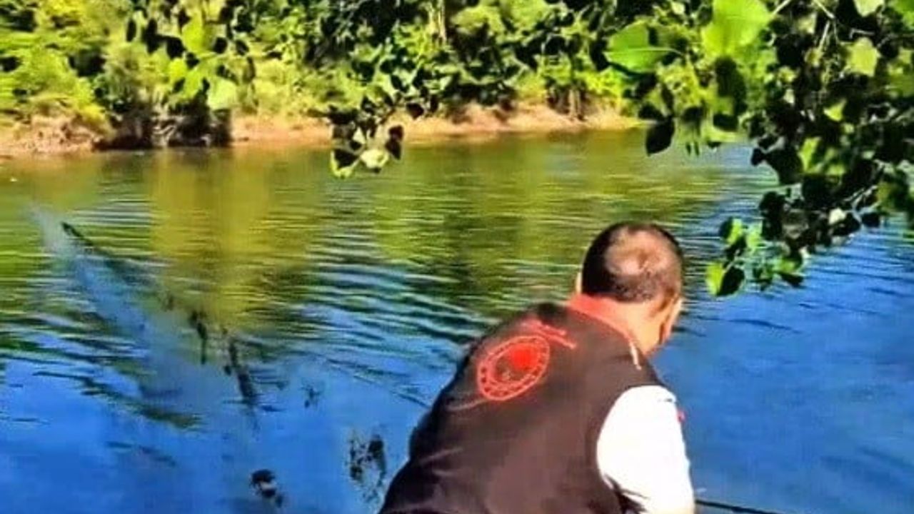 Sakarya’da nehir ve göletlerdeki kaçak ağlar tek tek toplanıyor