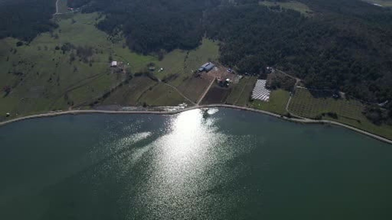 Sakarya Pamukova'da 780 m'de Yapay Göletli Yayla: Doğaseverler İçin Sakin Rota