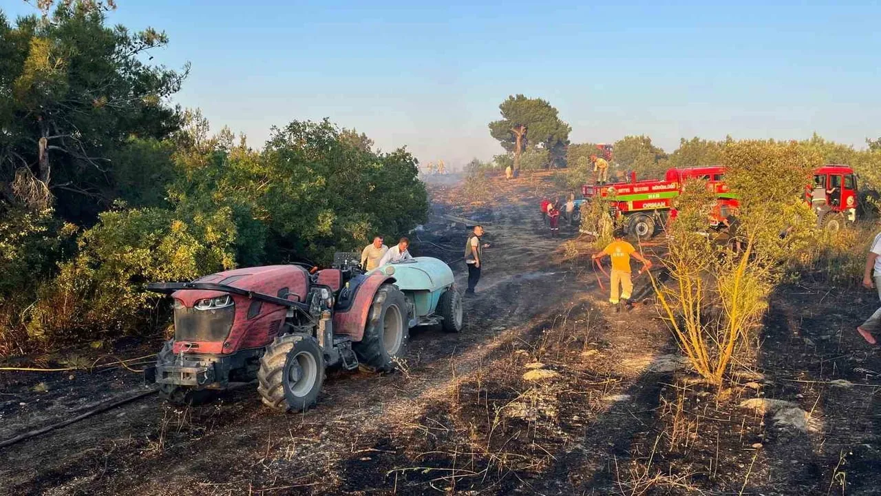 Sakarya yangını Bilecik sınırına 300 metre kala kontrol altına alındı