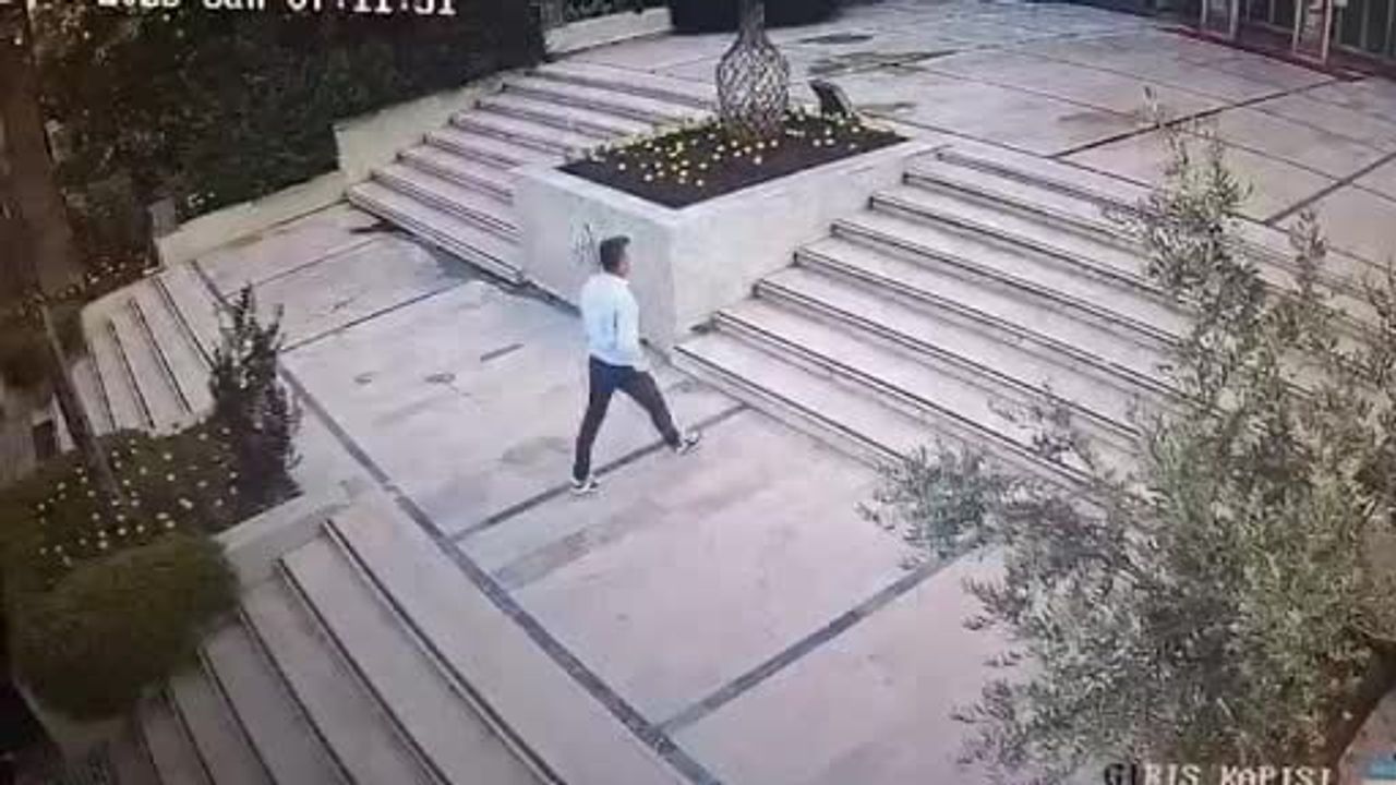 Salihli’de köpeğe ve güvenlik görevlilerine saldırı: şüpheli tutuklandı