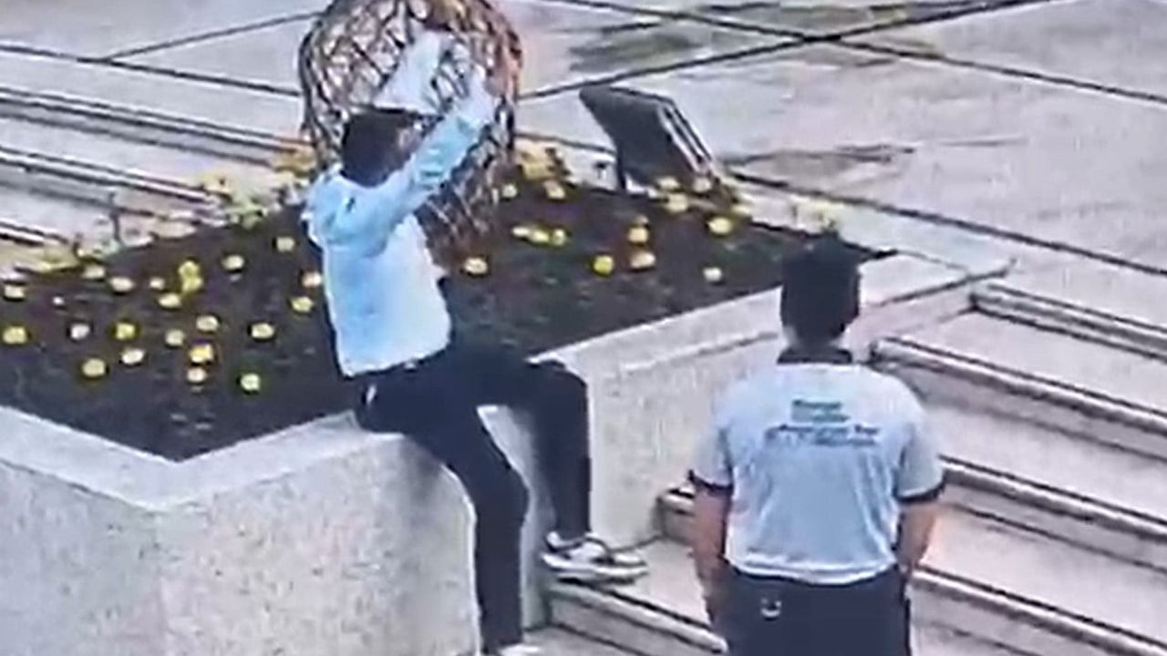 Salihli'de köpeğe ve güvenlik personeline saldıran şüpheli tutuklandı