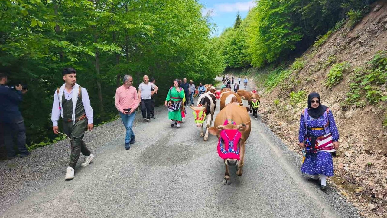 Şalpazarı'nda geleneksel yayla göçü: Sinlice sakinleri Katağacı Yaylası'na çıktı