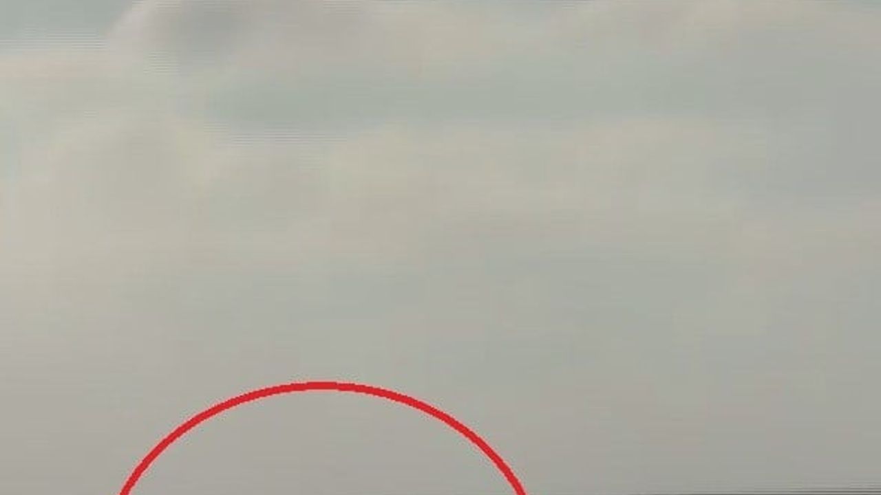 Samandağ açıklarında balıkçı teknesini selamlayan iki yunusun görüntüleri