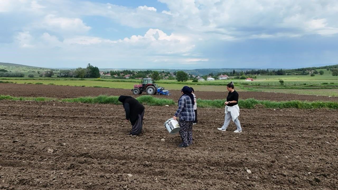 Samsun Büyükşehir Belediyesi'nden Ladik Fasulyesinde Sözleşmeli Tarım Desteği