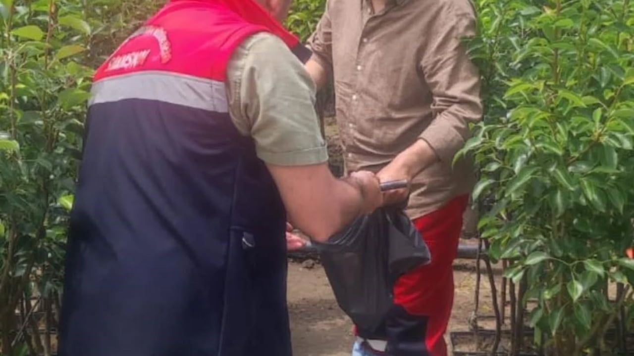 Samsun'da fidancılık ve peyzaj işletmelerine kapsamlı bitki sağlığı denetimi