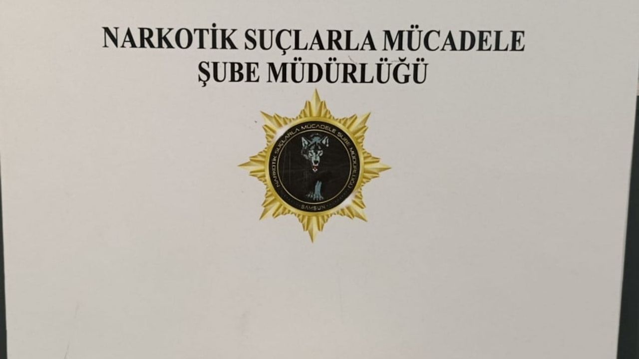 Samsun'da uyuşturucu operasyonunda 1 gözaltı