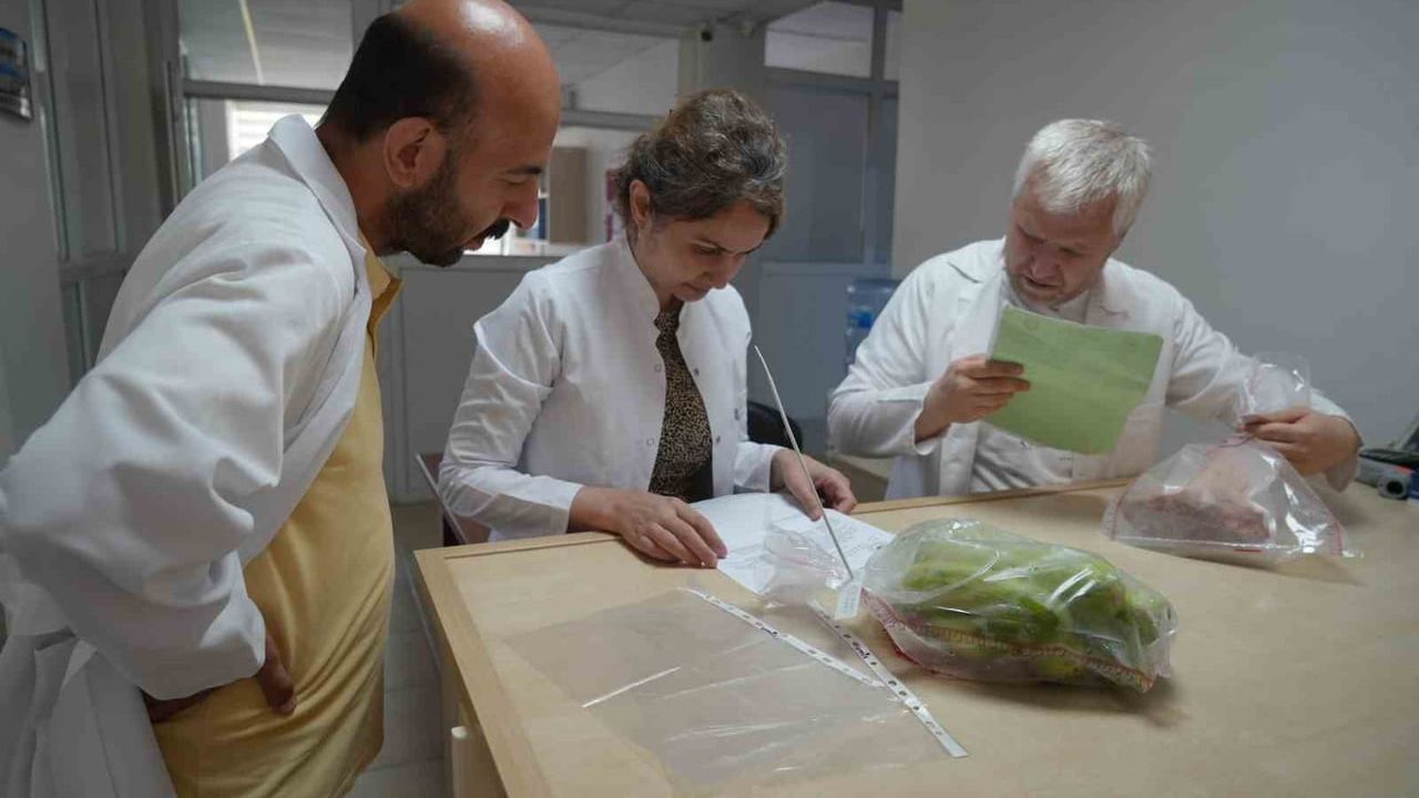 Samsun Gıda Kontrol Laboratuvarı: Yılda yaklaşık 552 bin parametre inceleniyor