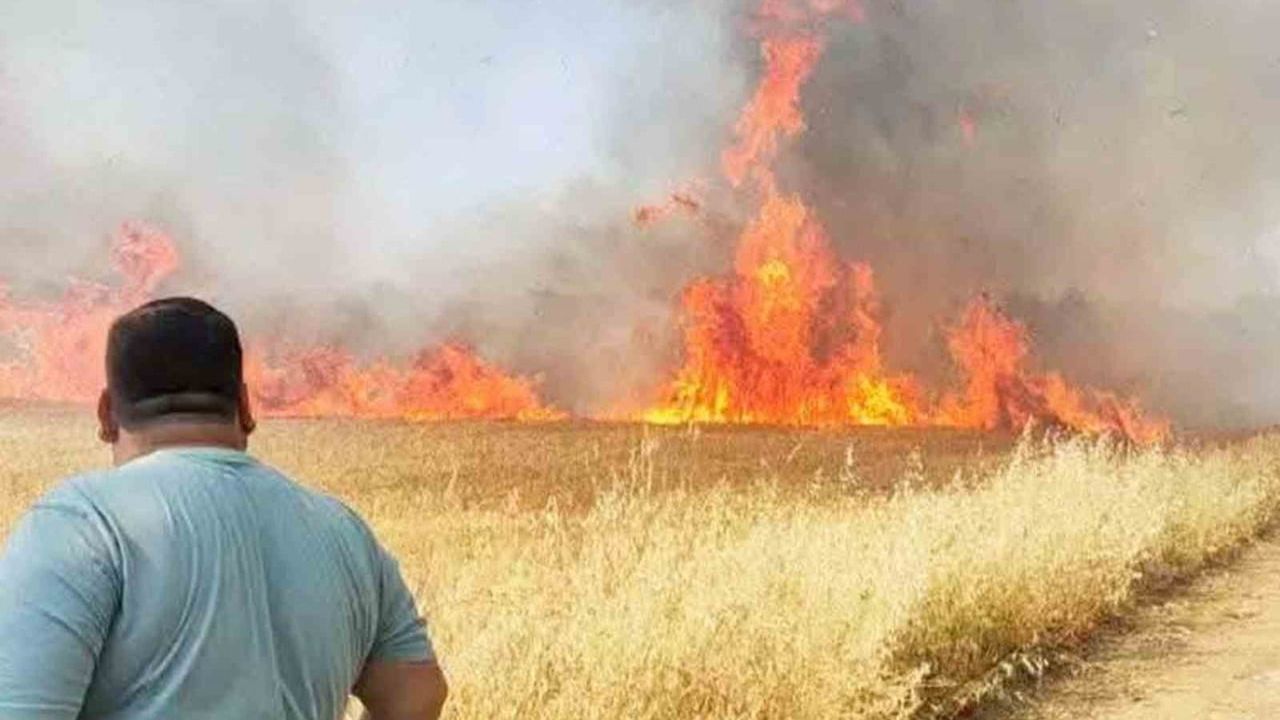 Şanlıurfa’da buğday tarlasında yangın
