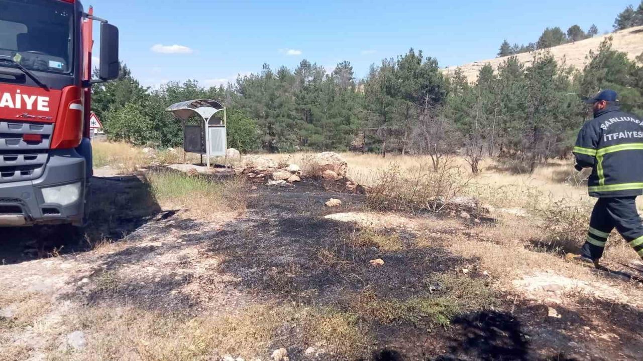 Şanlıurfa Karaköprü'de Küçükalanlı kırsal Mahallesi yakınlarında orman yangını söndürüldü