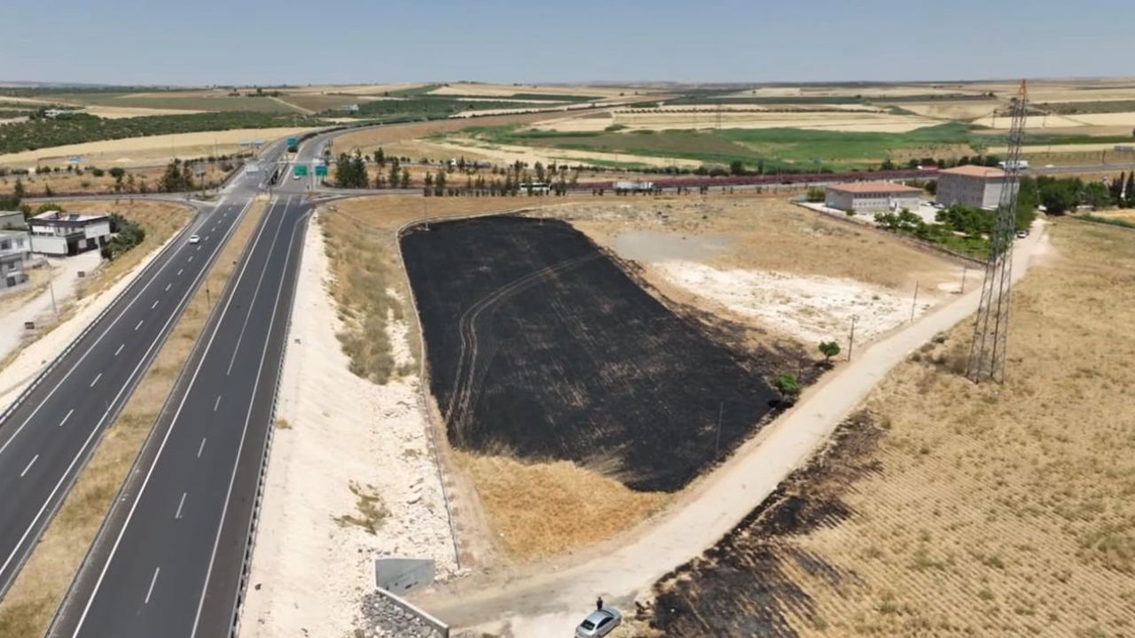 Şanlıurfa’nın Suruç ilçesinde arpa ekili arazide çıkan yangında 30 dönüm alan zarar gördü