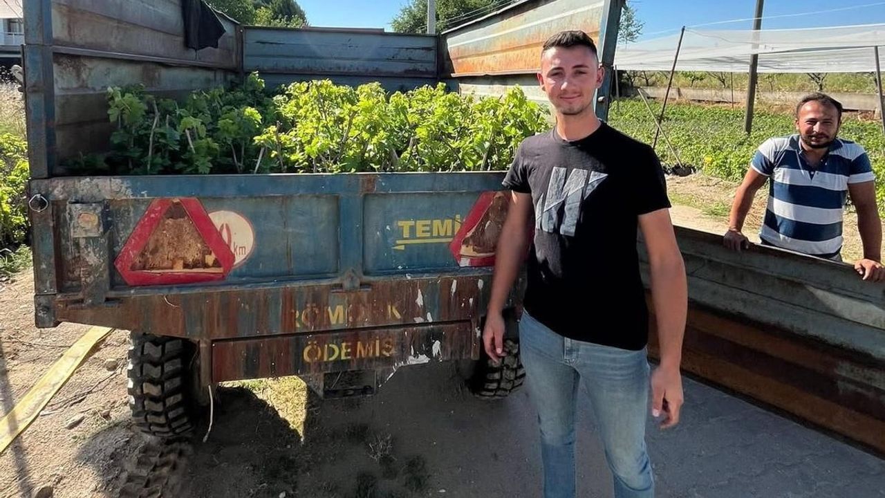 Sarıgöl'de iki kardeşin üzüm fidanı tesisi bölge ekonomisine milyonluk katkı sağlıyor