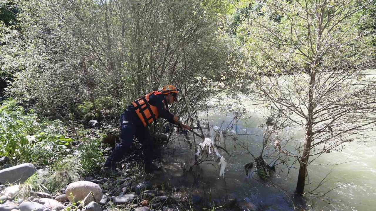 Şavşat deresi'nde kaybolan baba ve oğlunu arama çalışmaları sürüyor