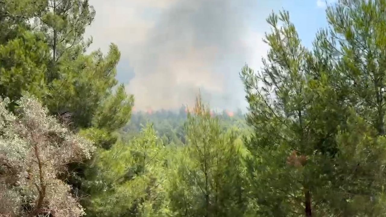 Seydikemer'de zirai alandan ormana sıçrayan yangına müdahale sürüyor
