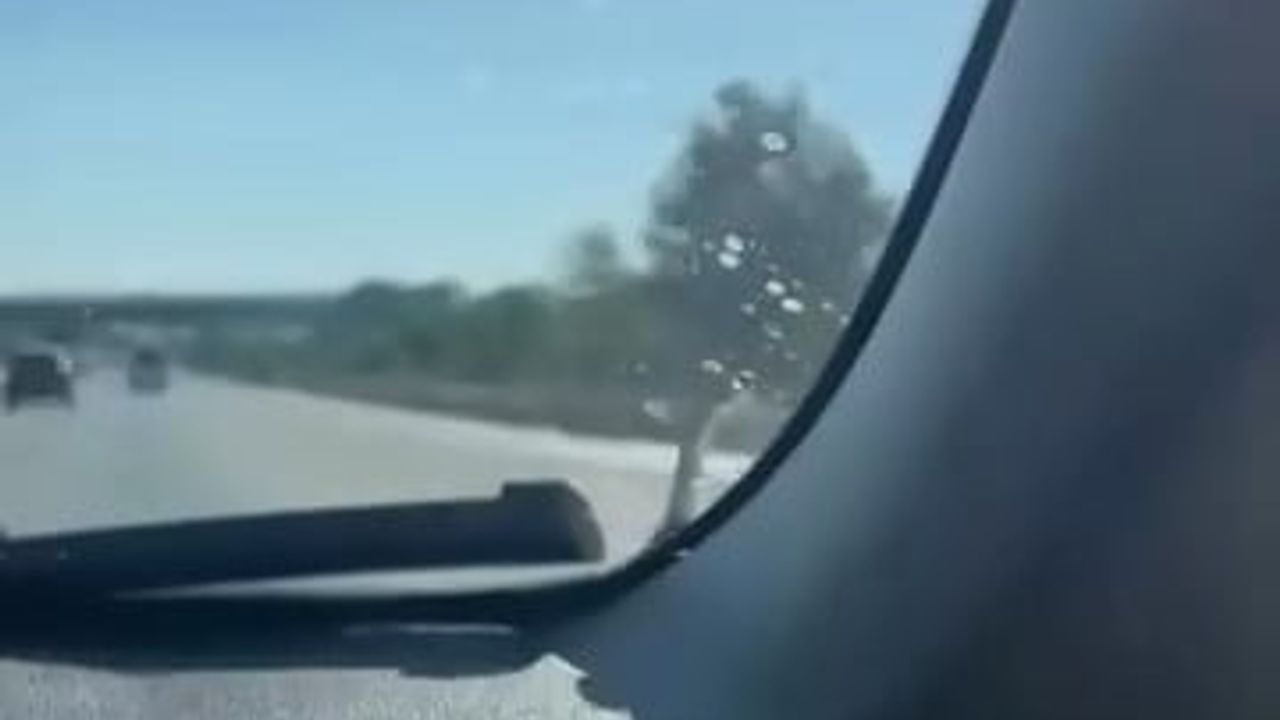 Seyir halindeki aracın kaputunda yılan görüldü