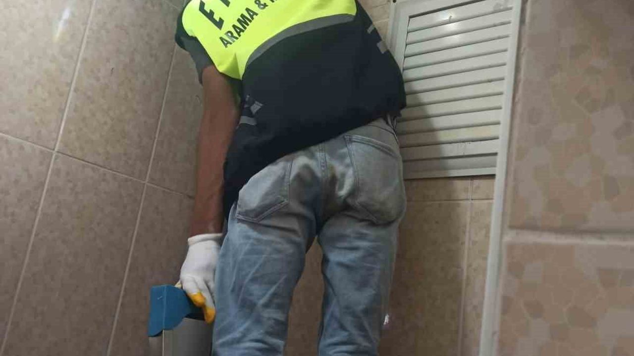 Siirt’in Eruh ilçesinde lavabo borusuna sıkışan yavru kedi ERKUT tarafından kurtarıldı