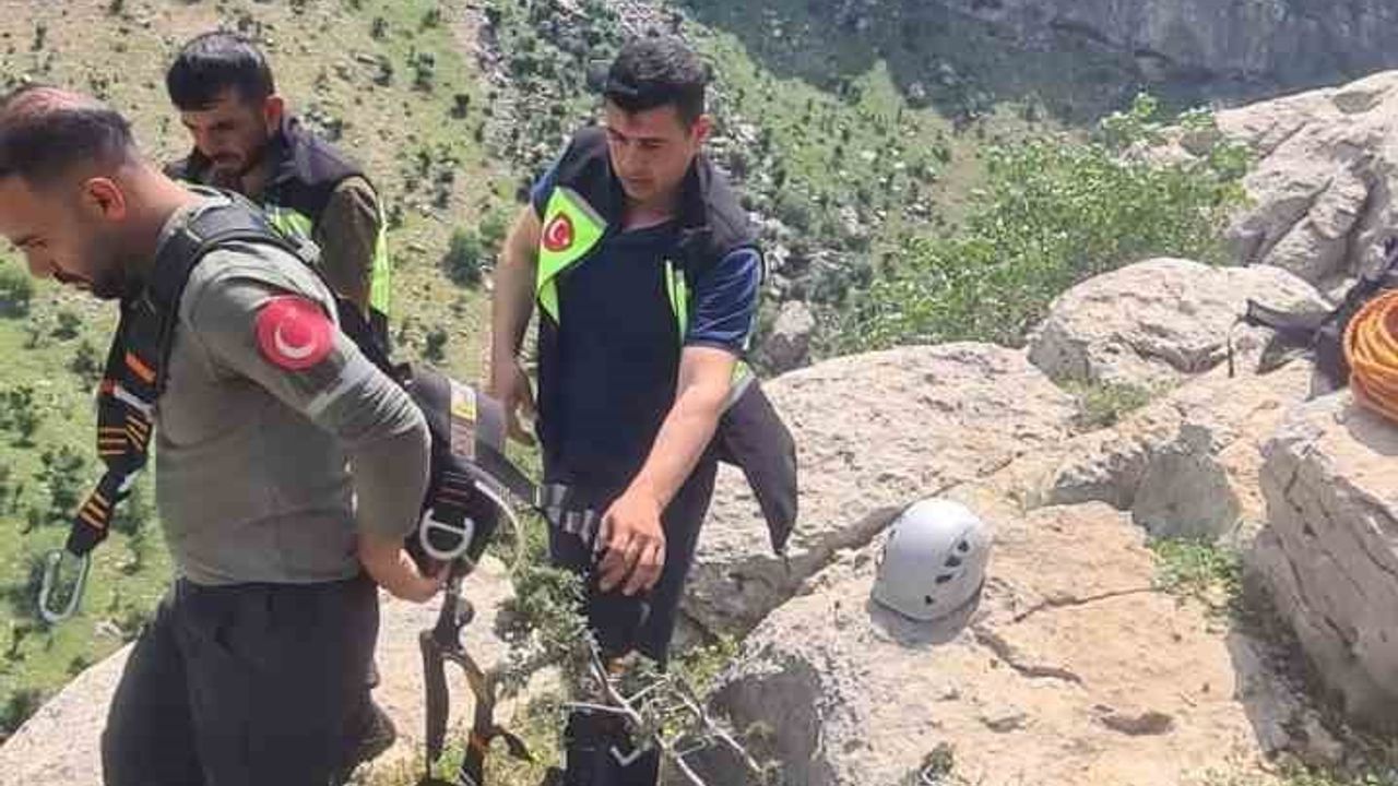 Siirt’te 8 gündür mahsur kalan keçi ERKUT ekiplerince kurtarıldı