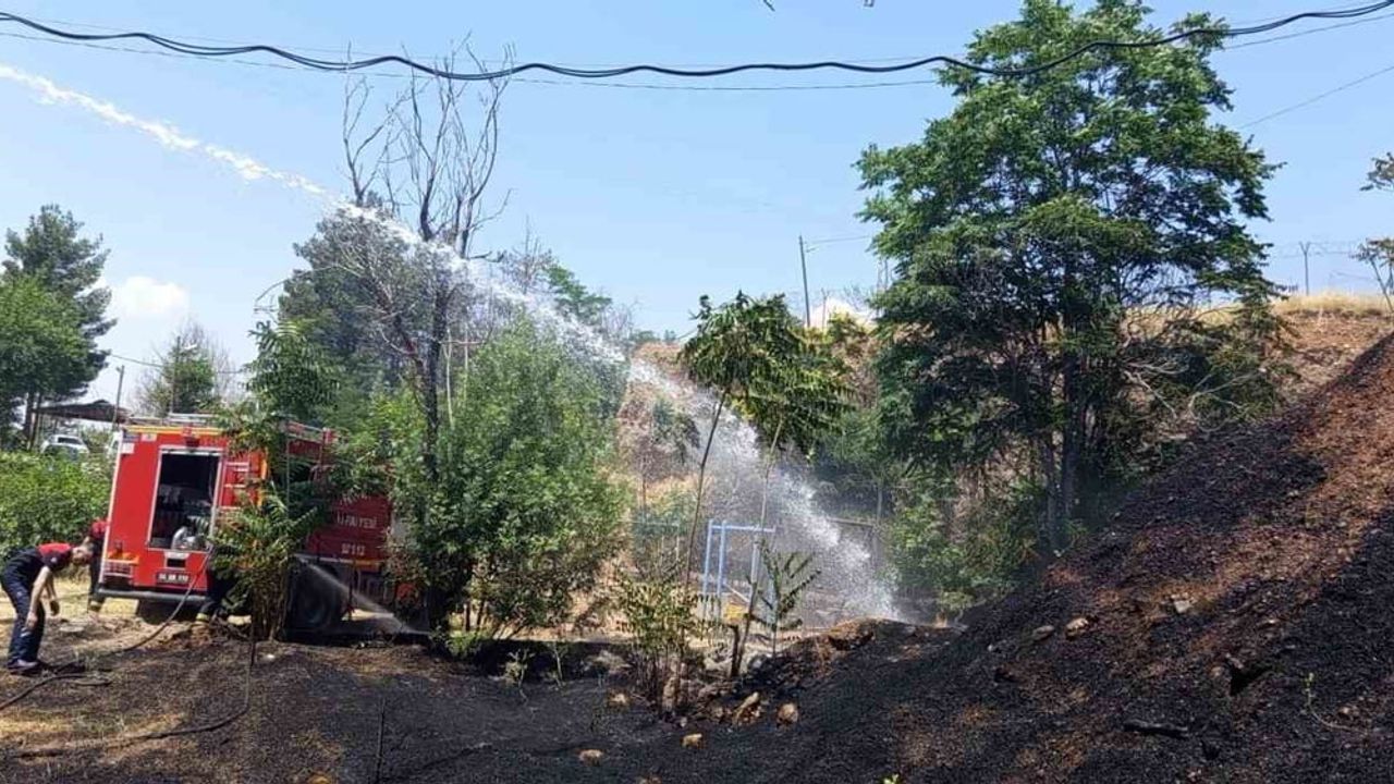 Siirt'te iş makinesinden çıkan kıvılcım otluk alanı yaktı