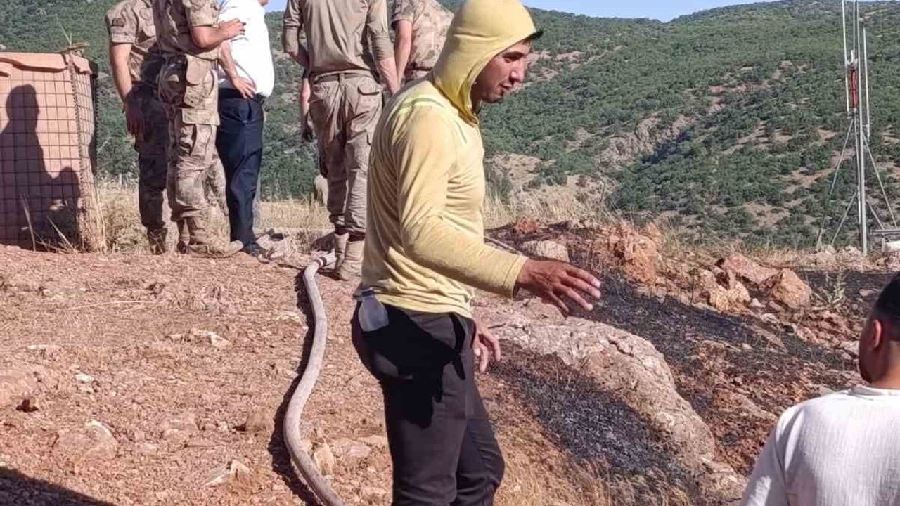 Siirt'te köy yakınında çıkan yangın ekiplerin müdahalesiyle söndürüldü