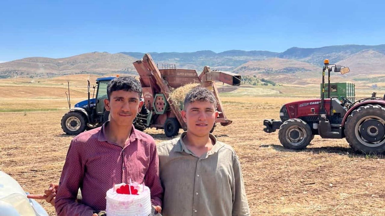 Siirt'te mercimek tarlasında kavurucu sıcak altında doğum günü sürprizi