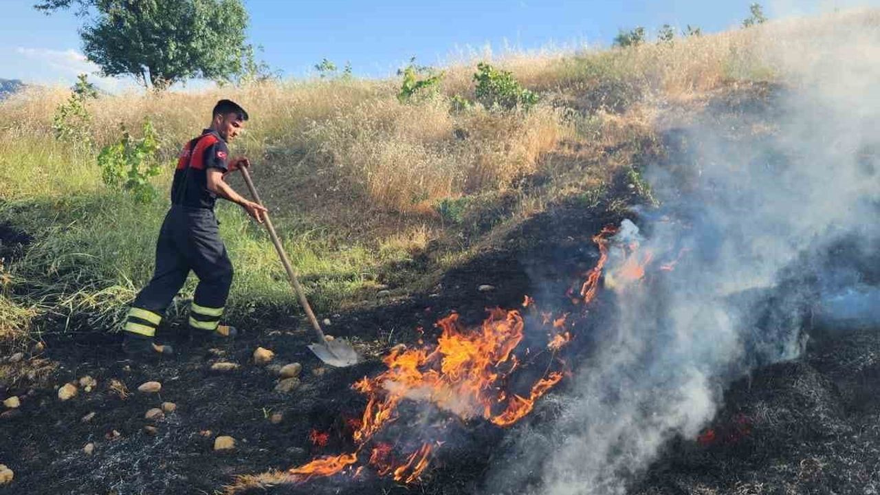 Siirt'te otluk yangını bağlara sıçradı; yaklaşık 2 dönüm zarar gördü